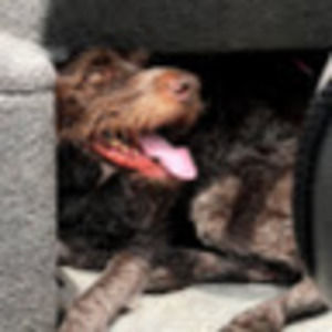 Meet your Posher, Charlotte